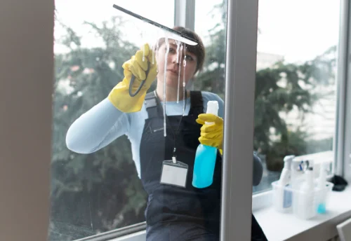 Nettoyage de vitres intérieures et extérieures à Baverans